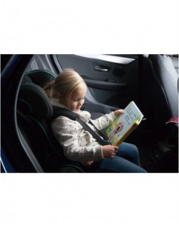 Autositz