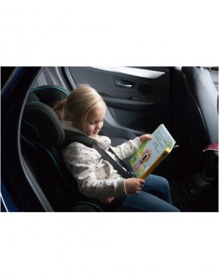 Autositz