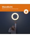 REX Wandlicht